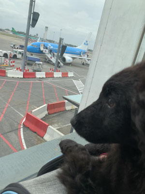 Gem ready to board her flight to Netherlands.