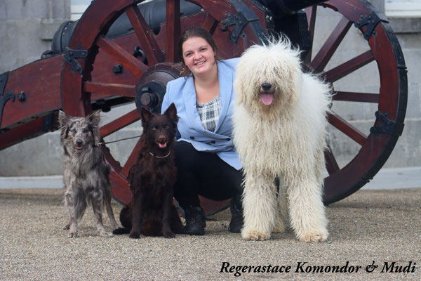 Me with Vibe, Tarot and Orca after a day of showing + obedience.