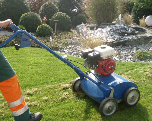 rasen vertikutieren - naturreich gmbh