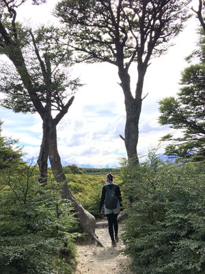 Patagonien - El Chaltén 20km Wanderung