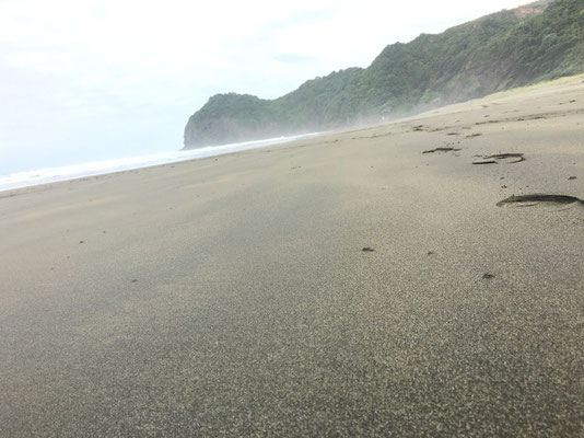 Blacksand in Piha