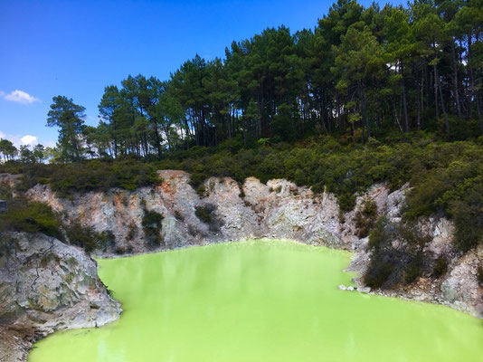 Wai-O-Tapu Thermal Wonderland 