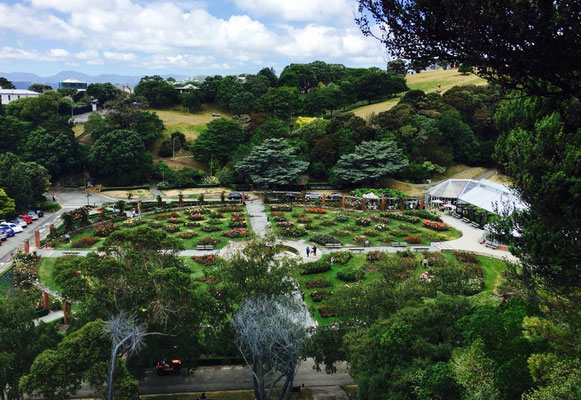 Wellington - Botanischer Garten - Rosengarten