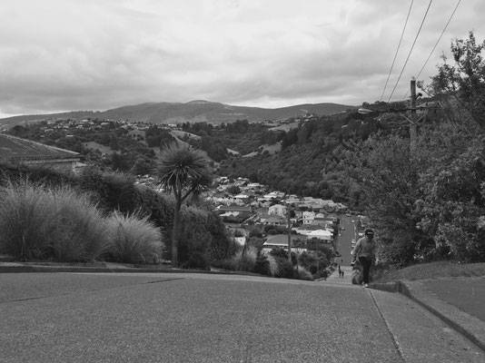 Dunedin - Baldwin Street (Steilste Strasse der Welt!)