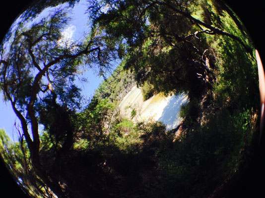 Wai-O-Tapu Thermal Wonderland 