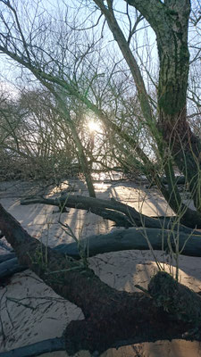 An der Elbe