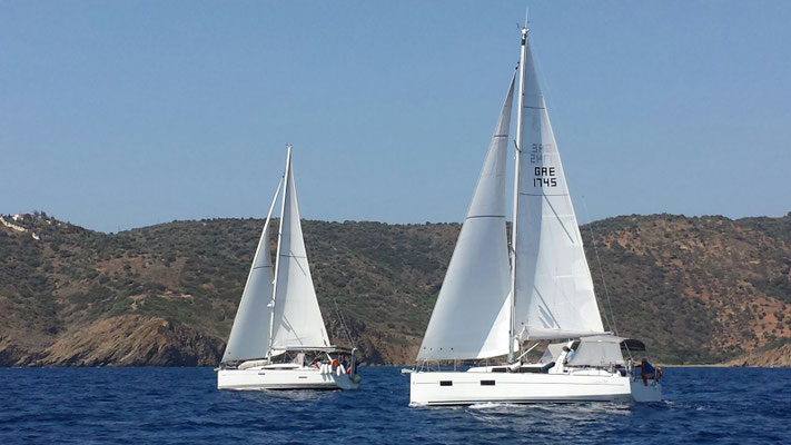 Regatta?!?