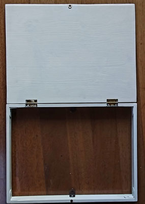 C 20