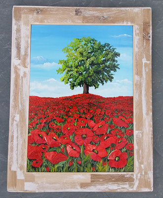 QO 228 QUADRO CON CORNICE SBIANCATA - MISURE A SCELTA