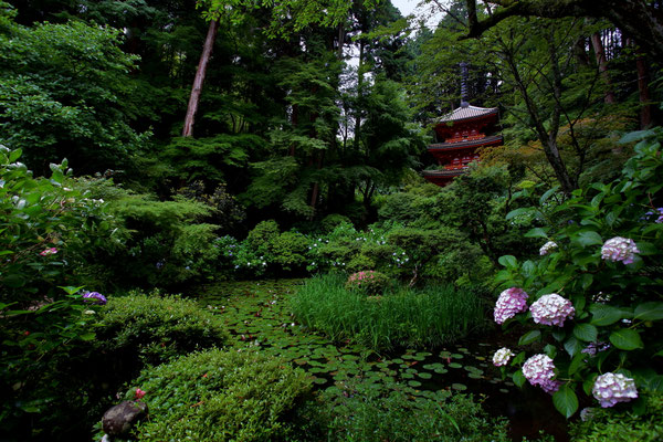 Kyoto