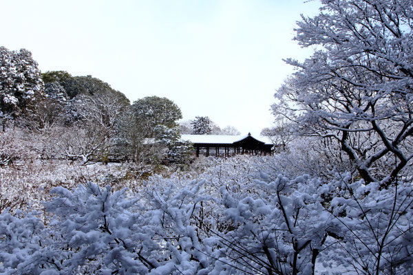 Kyoto