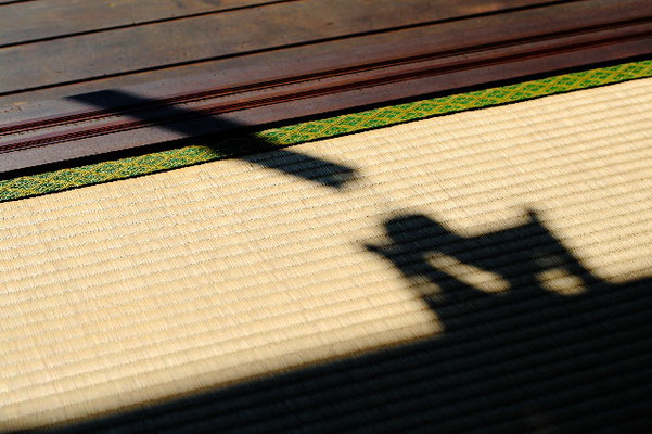 Shiga