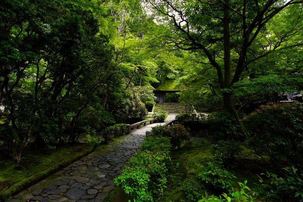 Kyoto