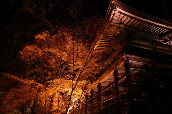 Shiga