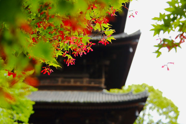 Kyoto