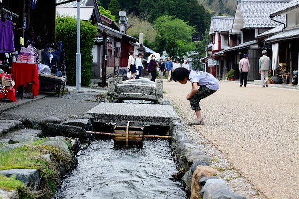 Fukui