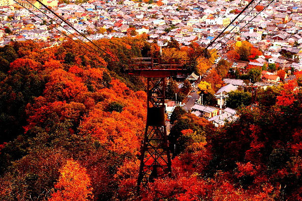 Shiga
