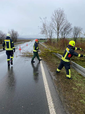 Baum auf Straße (H1) 03.2021