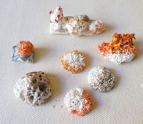 Diepzee, porselein, 2cm-4cm, € 150,-