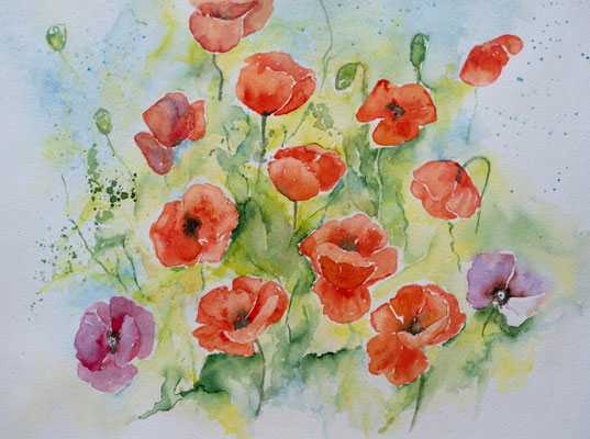 Mohnblumen Aquarell (Verkauft)