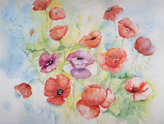 Mohn in Aquarell
