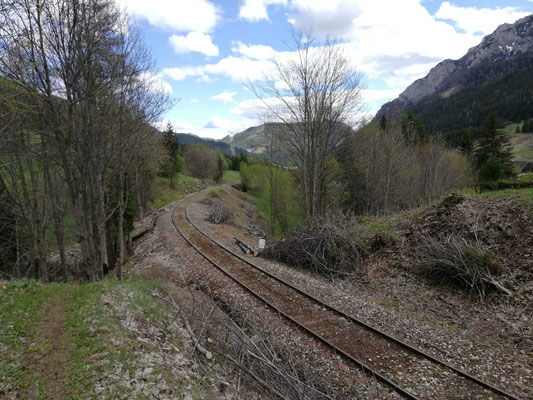 Der fast vollständig freigeschnittene Durchlass bei Streckenkilometer 14.