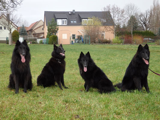 Aiko, Akira, Aimy und  Flam