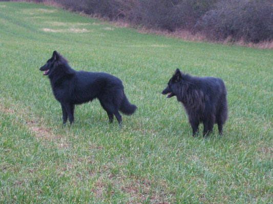 Dark Odin und  Black Vincent von dem Schatten hinter mir 2019