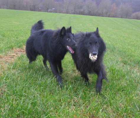 Dark Odin und  Black Vincent von dem Schatten hinter mir 2019