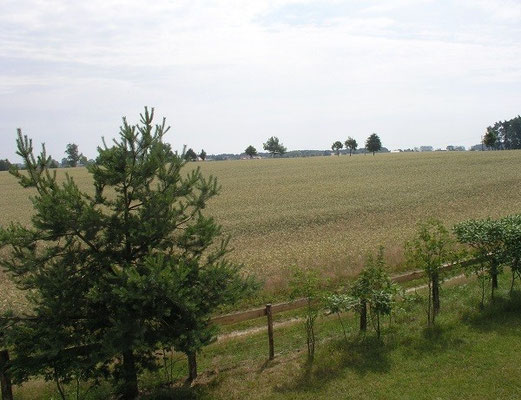 Die malerische fast unberührte Landschaft in Brandenburg genießen ...  © Blockhaus Profi 