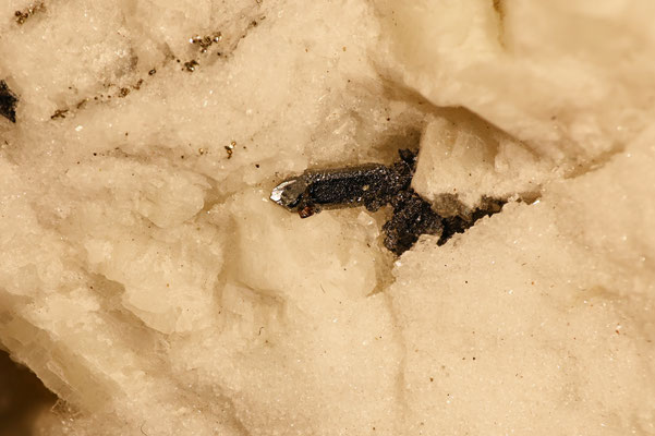 Jordanit mit Galenit; BB: 2 cm; Fundort: Lengenbach VS; Sammlung: Eugen Schmitter