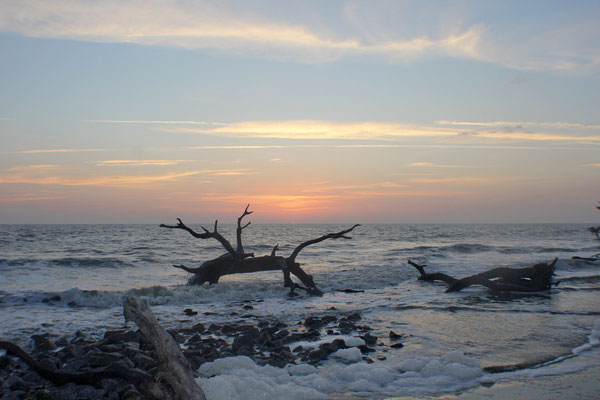 Driftwood Beach; Jecklyll Island GA (You have to visit this if you get the chance)  Nothing else like it on the east coast.