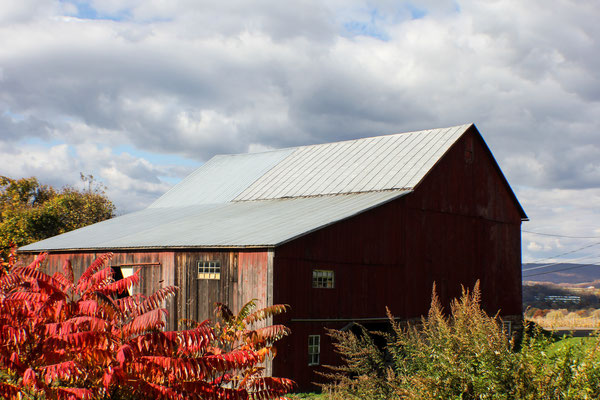 Same barn with early fall foliage.