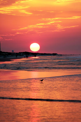 Crimson Dawn III, Ocean Isle Beach NC