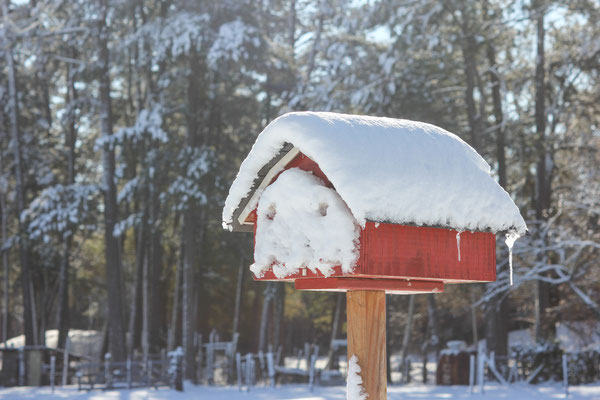 This snowy mailbox is actually in South Carolina.  Pic ture taken in the very stange winter of 2011.