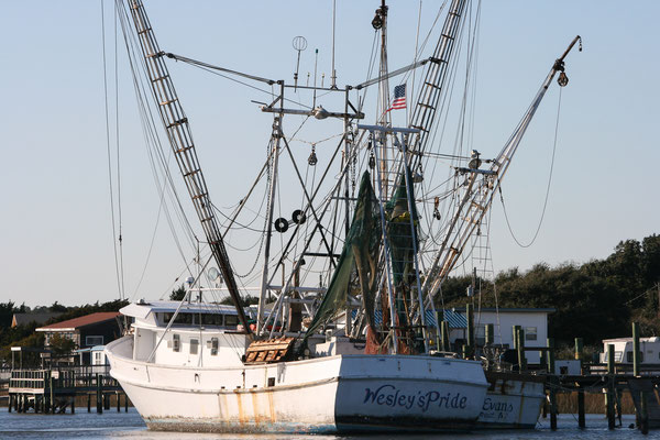 Shrimper Collection "Outbound at Calabash" During the Gulf oil spill, she went out and back every day.