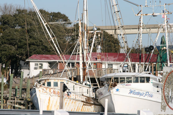Shrimper Collection - Sisters.  Holden Beach NC