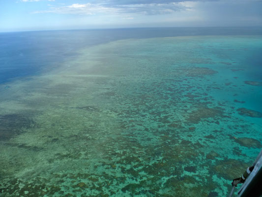 über dem Great Barrier Reef