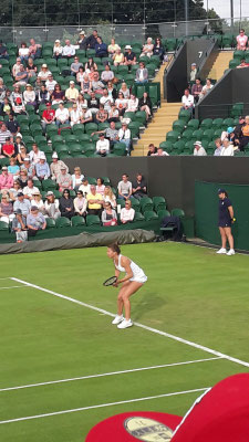 Halep