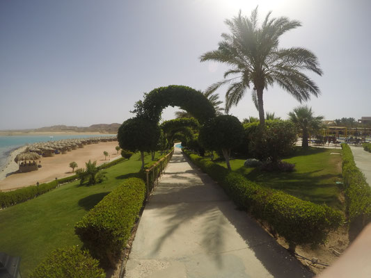 let's go to the beach...
