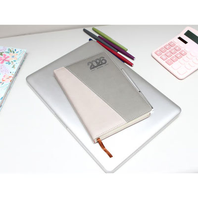 Agenda Cameri