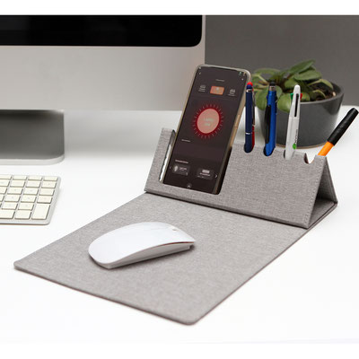 Organizador Astano