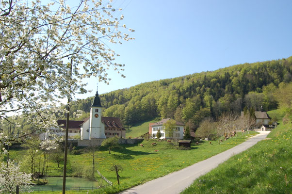 gratis fotos solothurn