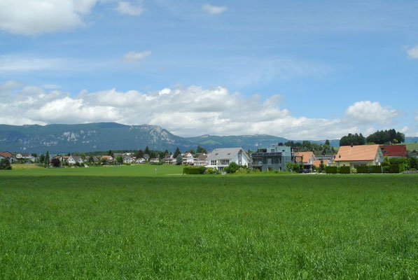 Wohnung im grünen mieten