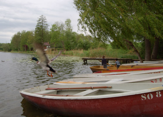 Bootsfahren Solothurn (Kanton Solothurn)