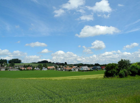 Wohnung Umgebung Solothurn