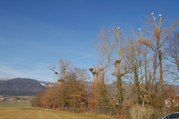 biketouren Jura