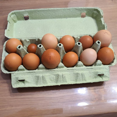 Boite de 12 de nos bons oeufs frais de nos poules à la Flânerie au Maine