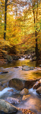 GL21 Fluss im Herbst