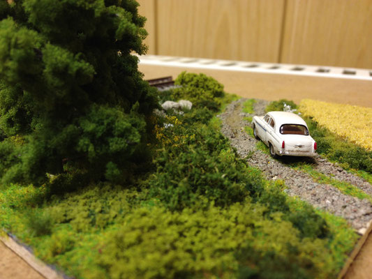 Begr\u00fcnen und Landschaftsgestaltung  meine Modellbahn  TT ganz gross